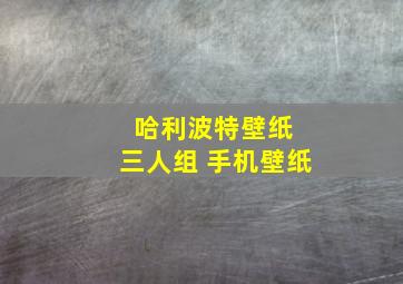 哈利波特壁纸 三人组 手机壁纸